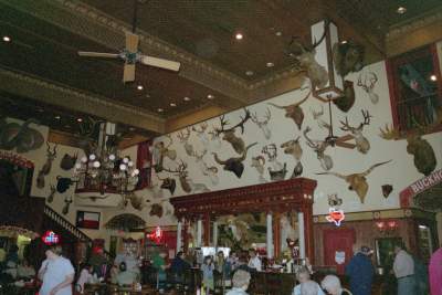 TEXAS-S.A. ANIMALS.JPG